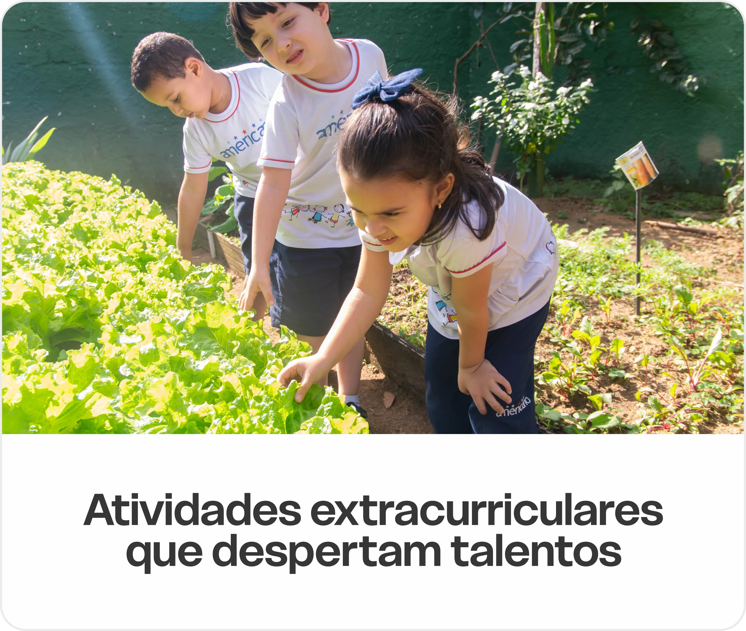 Alunos mexendo com plantas em atividade extracurricular